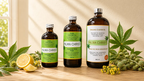Palma Christi