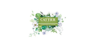 Cattier Paris | Win in Health