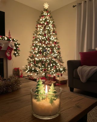 Lapo - Fir tree  candle