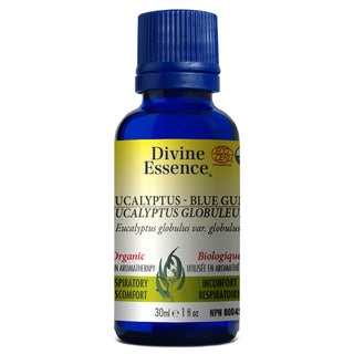 Divine essence - Blue gum eucalyptus org