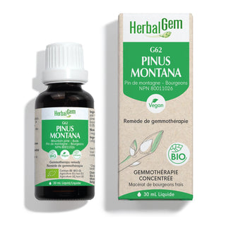 Herbalgem - G62 pinus montana - 30 ml