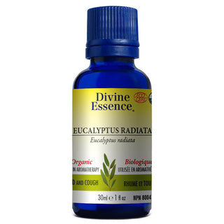 Divine essence - Eucalyptus radiata org