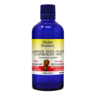 Divine essence - White wood camphor wild
