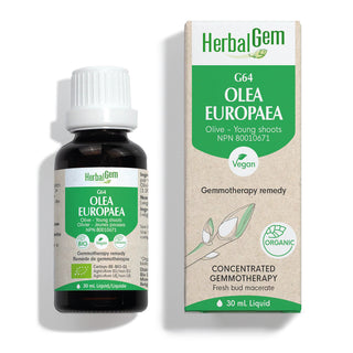 Herbalgem - G64 olea europaea - 30 ml