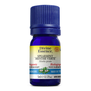 Divine essence - Spearmint org