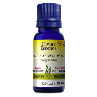 Divine essence - Eucalyptus radiata org