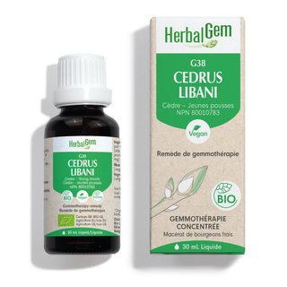 Herbalgem - G38 cedrus libani - Cedar of lebanon (young shoots) - 30 ml
