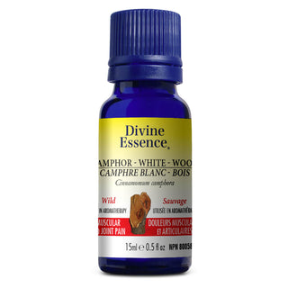 Divine essence - White wood camphor wild