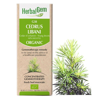 Herbalgem - g38 cedrus libani - cedar of lebanon (young shoots) - 50 ml