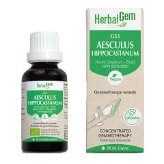 Herbalgem - G53 aesculus hippocastanum - 30 ml