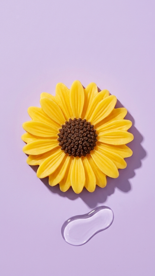 Lapo - Sunflower