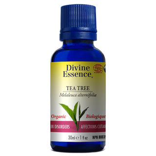 Divine essence - Organic tea tree
