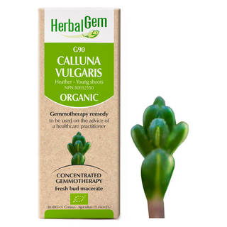Herbalgem - g90 calluna vulgaris - heather (young shoots) - 50 ml