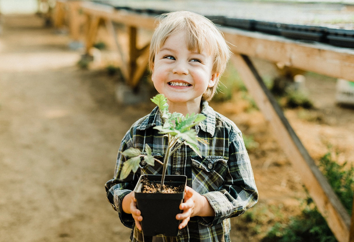 Feel the Difference of Well-Made Plant Medicine: The St. Francis Story