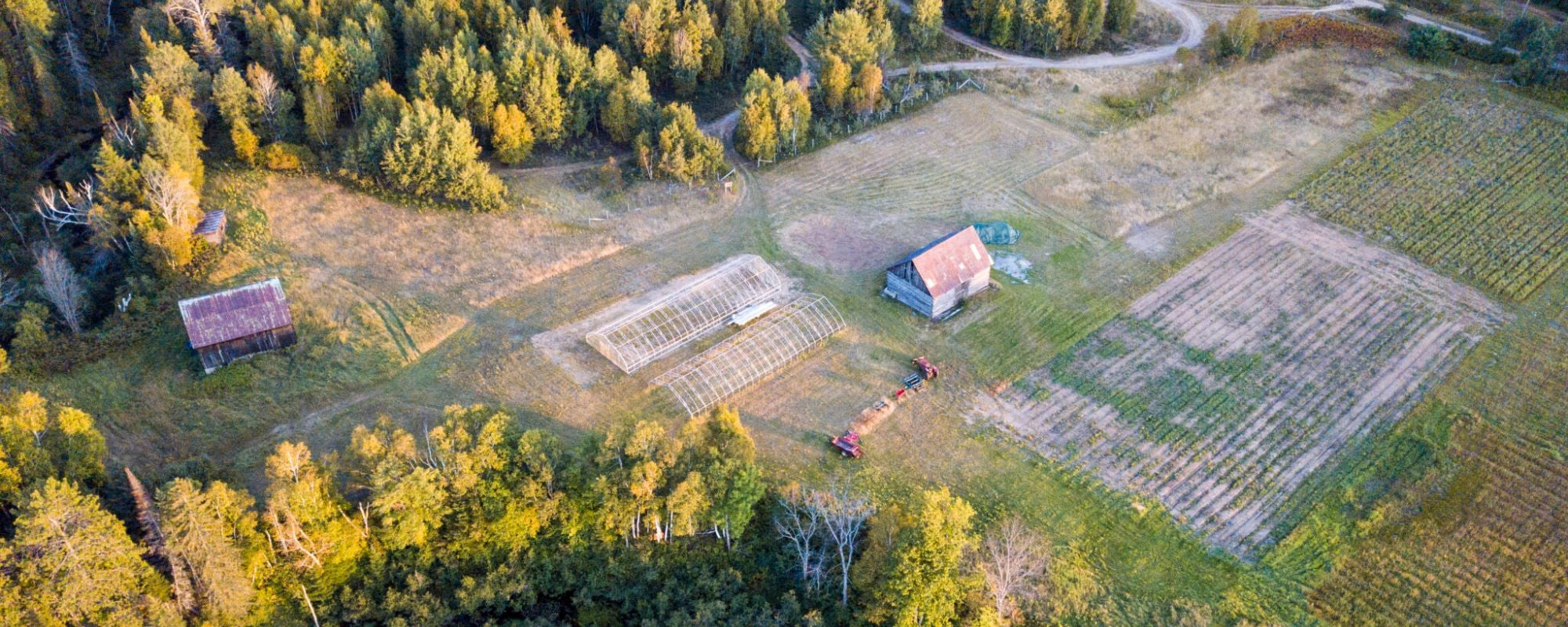 St Francis Herb Farm