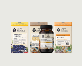 "Win Your Winter" Stack - The Living Alchemy Complete Immunity Bundle