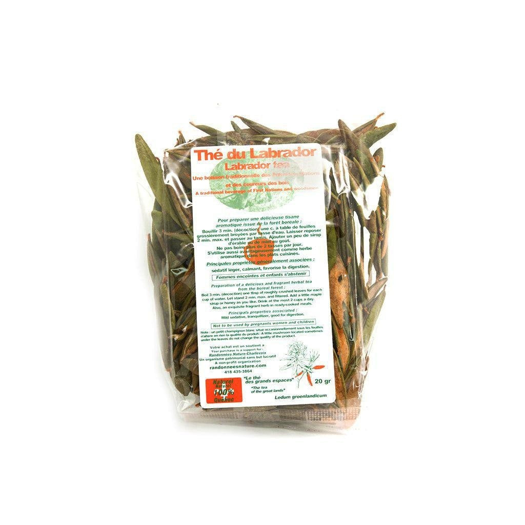 LABRADOR - LABRADOR TEA FROM CHARLEVOIX - 20G – Win in Health