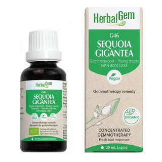 Herbalgem - G46 sequoia gigantea - 30 ml
