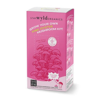Stay wyld - Pink oyster mushroom kit
