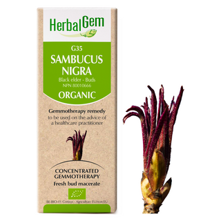 Herbalgem - g35 sambucus nigra - 50 ml