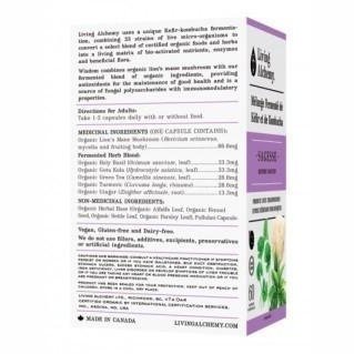 SAGESSE | Renfort cognitif -Living Alchemy -Gagné en Santé