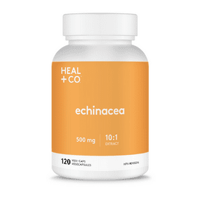 Heal+ co - echinacea 500mg (10:1) - 120 vcaps