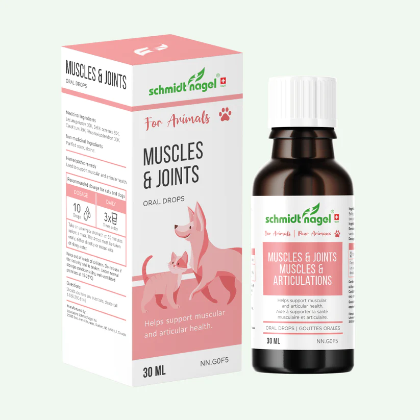 Schmidt nagel - muscles & joints (animodel 2) - 30 ml