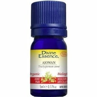 Divine essence - ajowan org eo - 5 ml