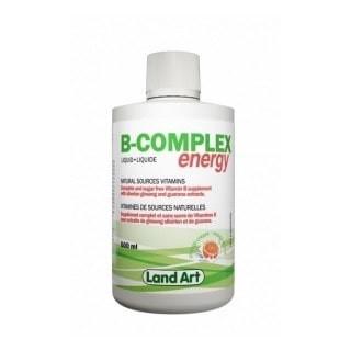 Land art - b-complex energy/orange - 500 ml