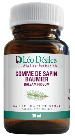 Balsam Fir Gum - Léo Désilets - Win in Health