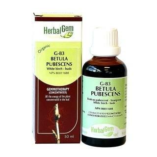 Betula pubescens | G83 - HerbalGem - Win in Health