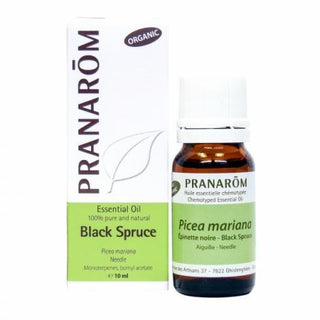 Black spruce essential oil | organic