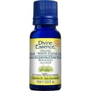 Cedar – White (Cedar leaf) - Divine essence - Win in Health