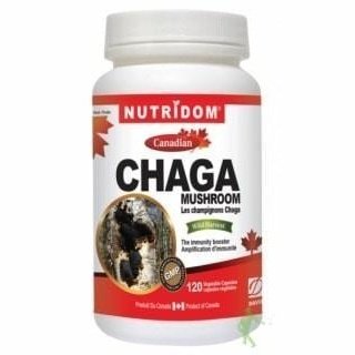 Champignons Chaga -Nutridom -Gagné en Santé