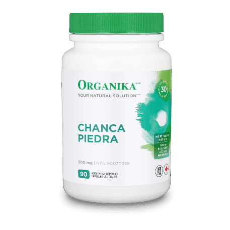 Chanca Piedra 500mg - Organika - Win in Health