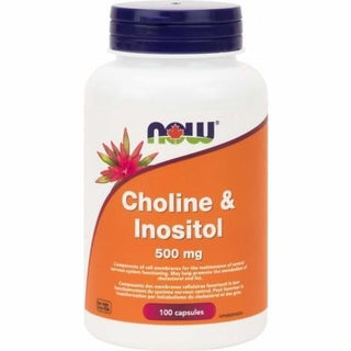 Now - choline & inositol 500 mg 100 vcaps