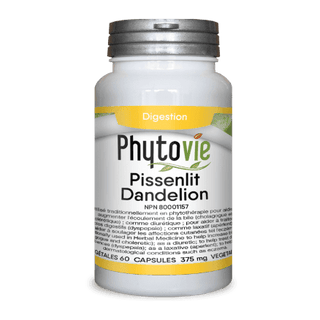 Phytovie - dandelion root 375mg 60 caps