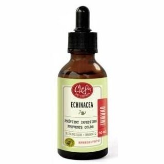 Echinacea - Teinture -Clef des champs -Gagné en Santé