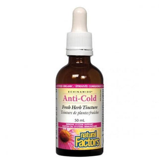 Natural factors - echinamide® | anti-cold fresh herb tincture