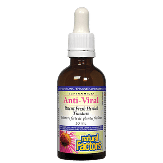 Natural factors - echinamide® | anti-viral