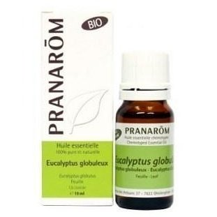 Essential oil Eucalyptus Globulus - Pranarôm - Win in Health
