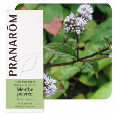 Essential Oil Peppermint - Pranarôm - Win in Health
