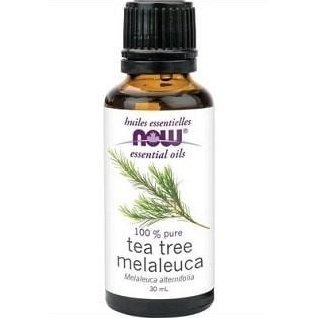Huile Essentielle - Melaleuca -NOW -Gagné en Santé