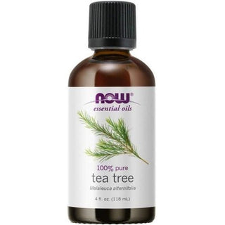 Now - essential oil - tea tree