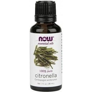 Now - essential oils - citronella