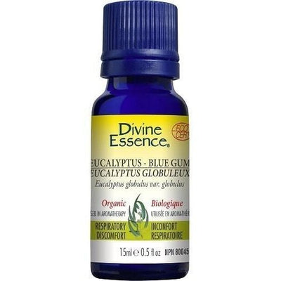 Eucalyptus Globuleux -Divine essence -Gagné en Santé