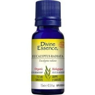 Eucalyptus radiata -Divine essence -Gagné en Santé