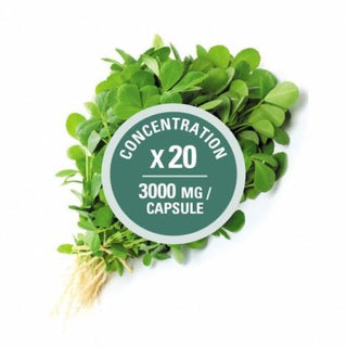 Fenugrec 3000 MG -Léo Désilets -Gagné en Santé