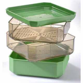 Germline seed tray-sprouter