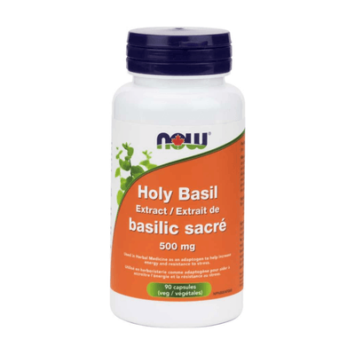 Basilic sacré 500 mg-norm 2% -NOW -Gagné en Santé